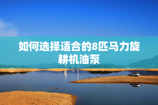 如何选择适合的8匹马力旋耕机油泵
