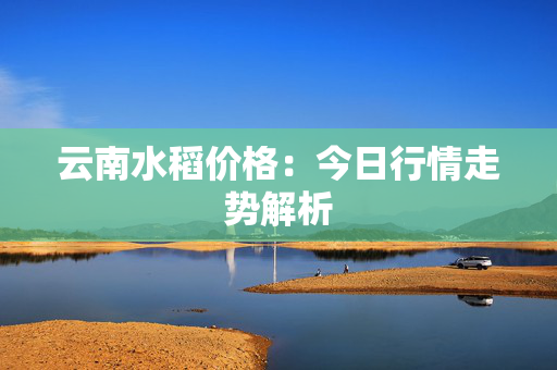 云南水稻价格：今日行情走势解析