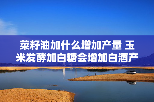 菜籽油加什么增加产量 玉米发酵加白糖会增加白酒产量？