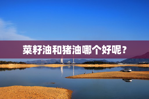 菜籽油和猪油哪个好呢？