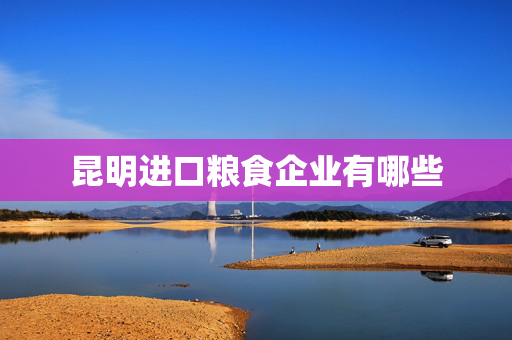 昆明进口粮食企业有哪些