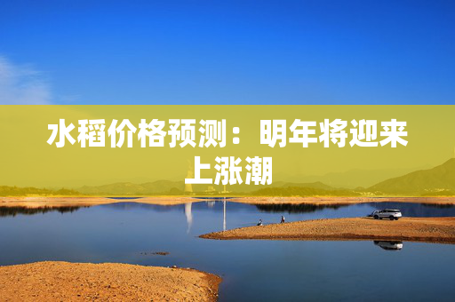 水稻价格预测：明年将迎来上涨潮
