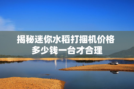 揭秘迷你水稻打捆机价格 多少钱一台才合理