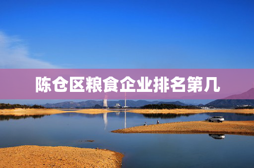 陈仓区粮食企业排名第几