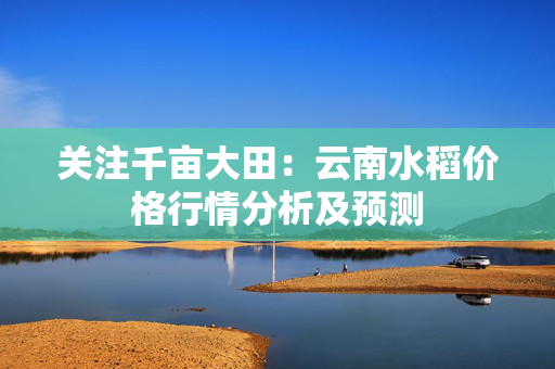 关注千亩大田：云南水稻价格行情分析及预测