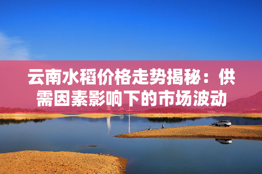 云南水稻价格走势揭秘：供需因素影响下的市场波动