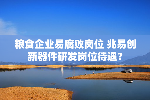 粮食企业易腐败岗位 兆易创新器件研发岗位待遇？
