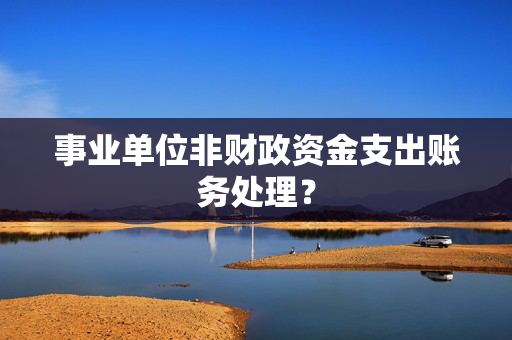 事业单位非财政资金支出账务处理？