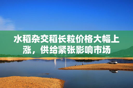 水稻杂交稻长粒价格大幅上涨，供给紧张影响市场