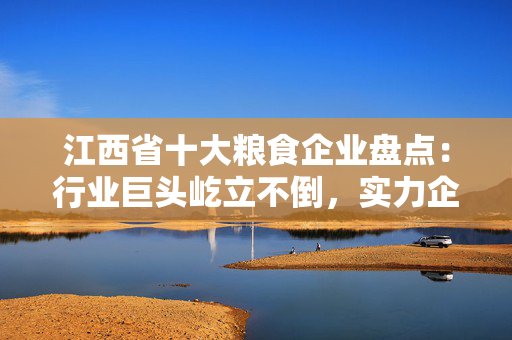 江西省十大粮食企业盘点：行业巨头屹立不倒，实力企业稳健发展