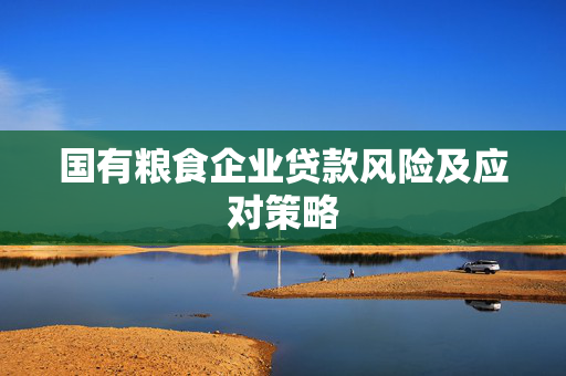 国有粮食企业贷款风险及应对策略