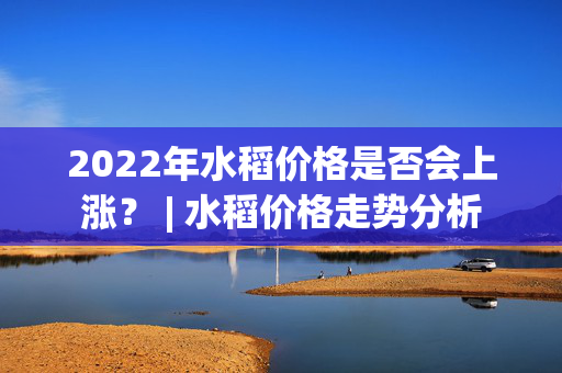 2022年水稻价格是否会上涨？ | 水稻价格走势分析