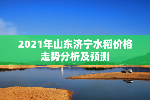2021年山东济宁水稻价格走势分析及预测