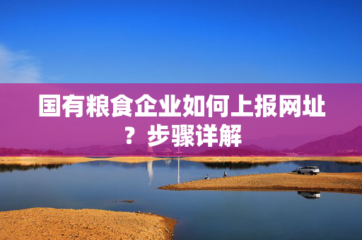 国有粮食企业如何上报网址？步骤详解