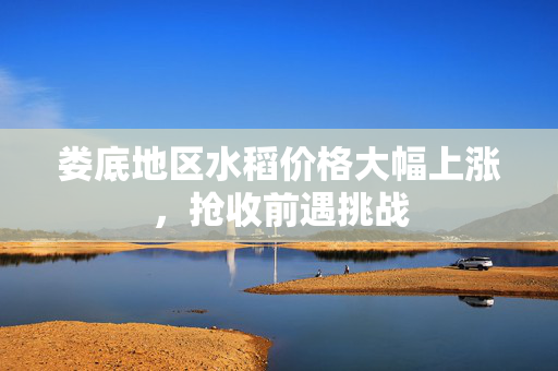 娄底地区水稻价格大幅上涨，抢收前遇挑战