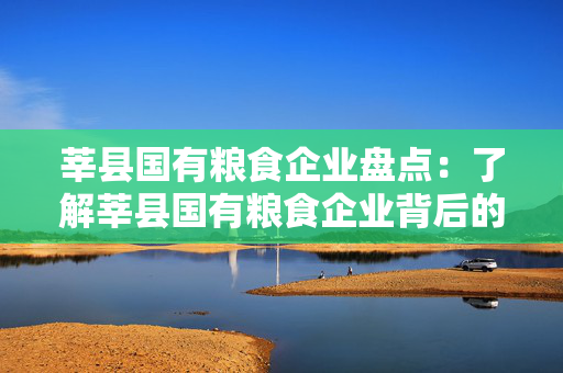 莘县国有粮食企业盘点：了解莘县国有粮食企业背后的实力与潜力