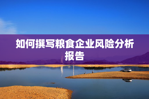 如何撰写粮食企业风险分析报告