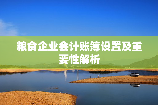 粮食企业会计账簿设置及重要性解析