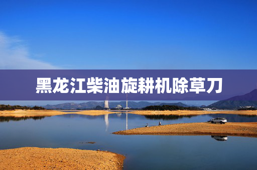 黑龙江柴油旋耕机除草刀