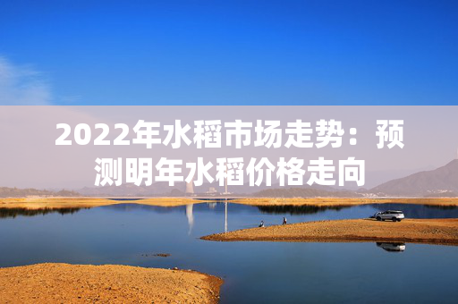 2022年水稻市场走势：预测明年水稻价格走向