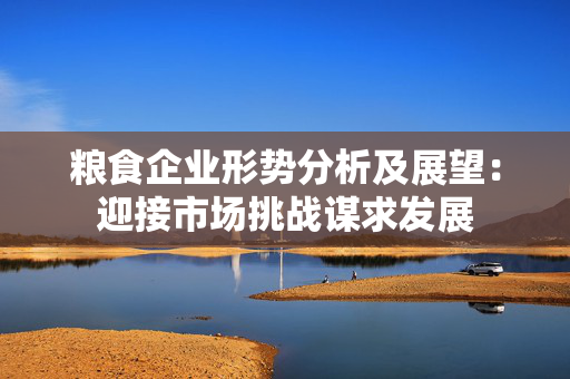 粮食企业形势分析及展望：迎接市场挑战谋求发展
