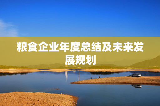 粮食企业年度总结及未来发展规划
