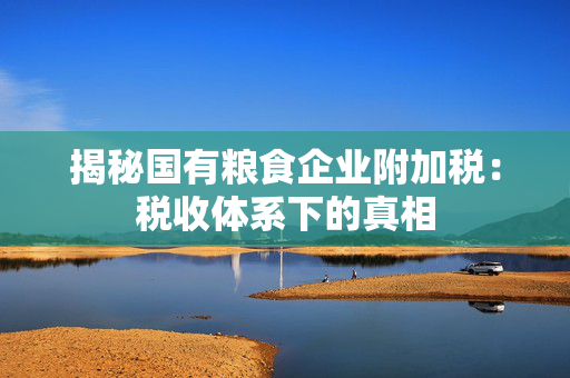 揭秘国有粮食企业附加税：税收体系下的真相