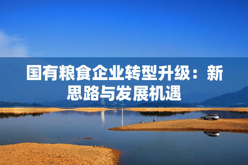 国有粮食企业转型升级：新思路与发展机遇