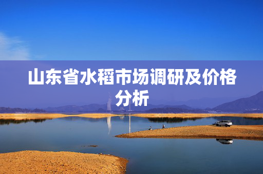山东省水稻市场调研及价格分析