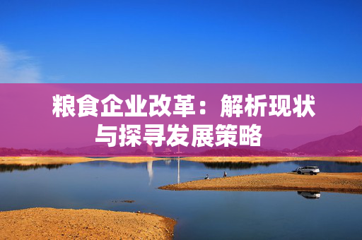  粮食企业改革：解析现状与探寻发展策略 