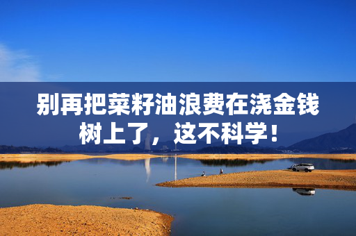 别再把菜籽油浪费在浇金钱树上了，这不科学！