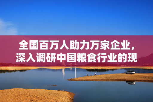全国百万人助力万家企业，深入调研中国粮食行业的现状与挑战