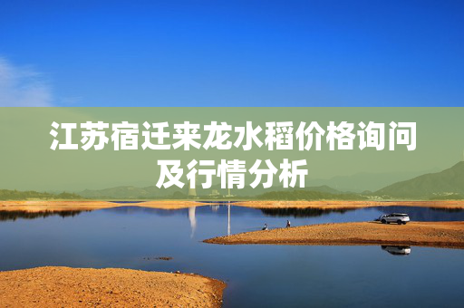 江苏宿迁来龙水稻价格询问及行情分析