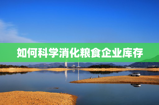 如何科学消化粮食企业库存