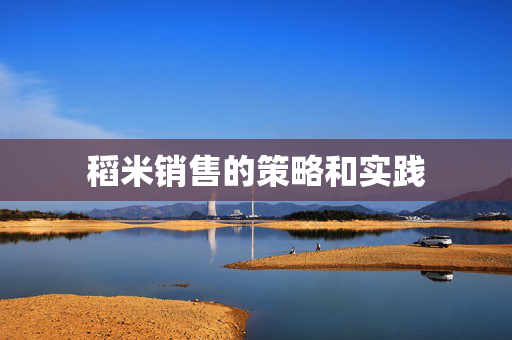 稻米销售的策略和实践