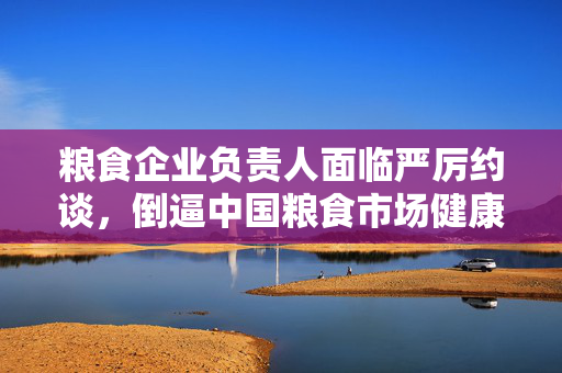 粮食企业负责人面临严厉约谈，倒逼中国粮食市场健康发展