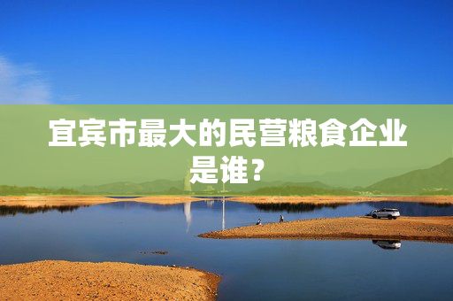 宜宾市最大的民营粮食企业是谁？
