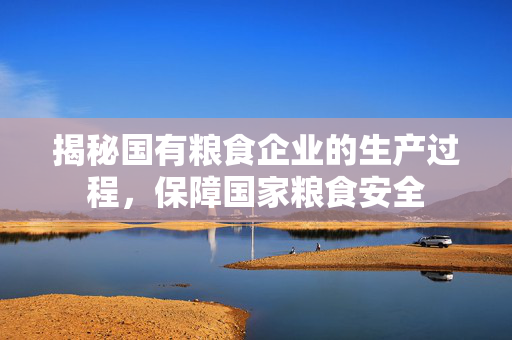 揭秘国有粮食企业的生产过程，保障国家粮食安全