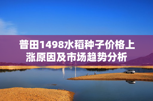 普田1498水稻种子价格上涨原因及市场趋势分析