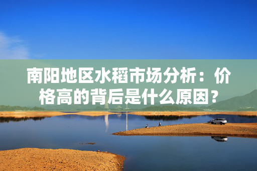 南阳地区水稻市场分析：价格高的背后是什么原因？