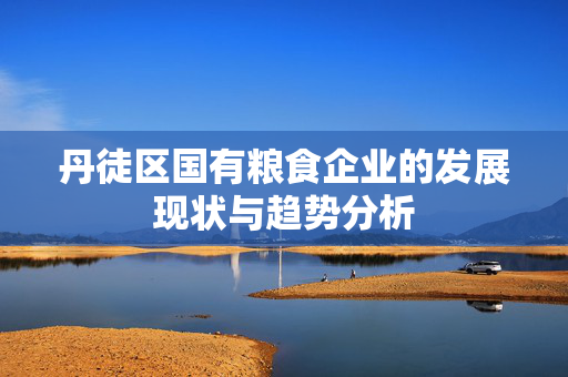 丹徒区国有粮食企业的发展现状与趋势分析