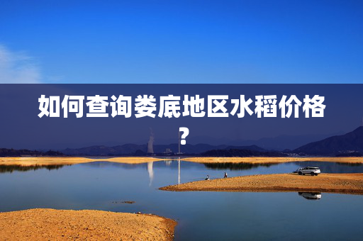 如何查询娄底地区水稻价格？