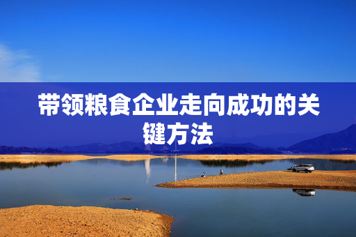带领粮食企业走向成功的关键方法
