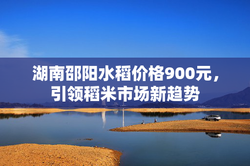 湖南邵阳水稻价格900元，引领稻米市场新趋势