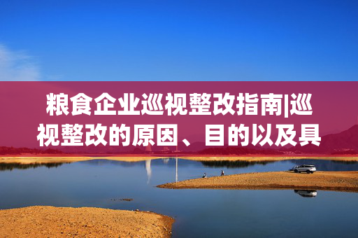 粮食企业巡视整改指南|巡视整改的原因、目的以及具体步骤