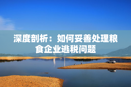 深度剖析：如何妥善处理粮食企业逃税问题
