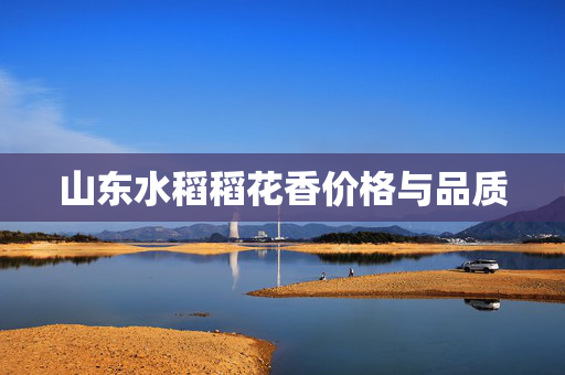 山东水稻稻花香价格与品质