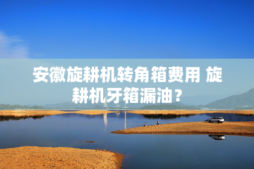 安徽旋耕机转角箱费用 旋耕机牙箱漏油？