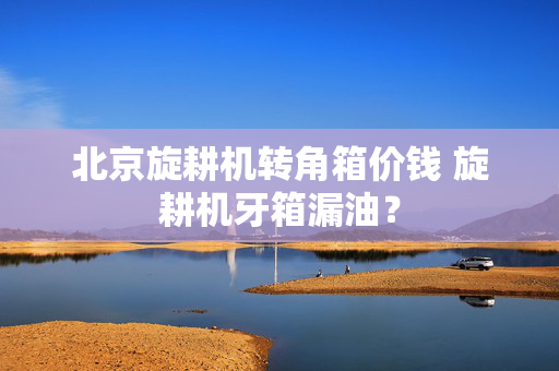 北京旋耕机转角箱价钱 旋耕机牙箱漏油？
