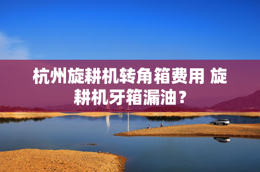 杭州旋耕机转角箱费用 旋耕机牙箱漏油？